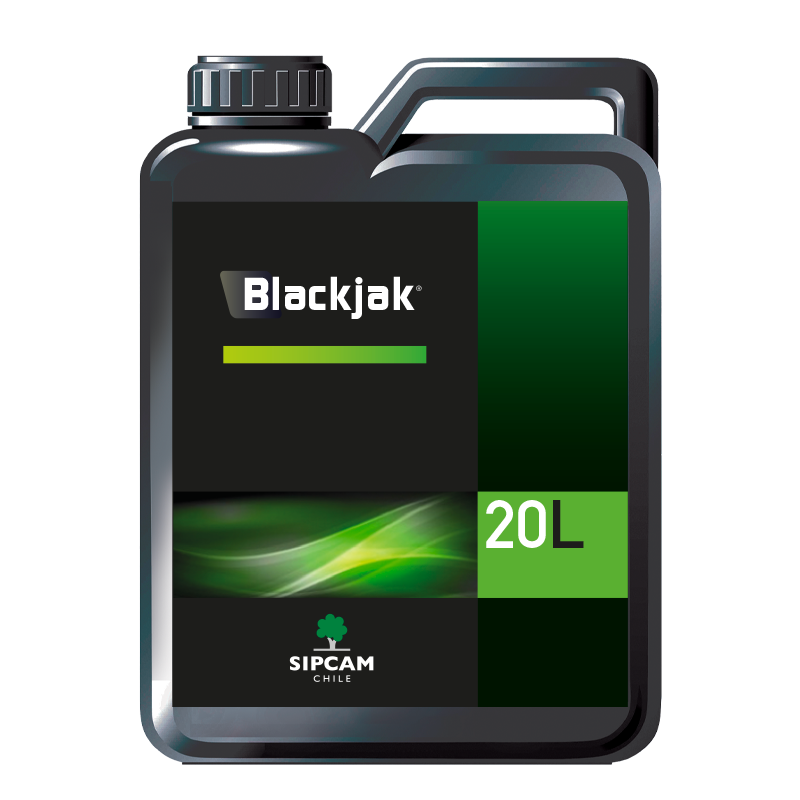BLACKJAK - Sipcam Chile